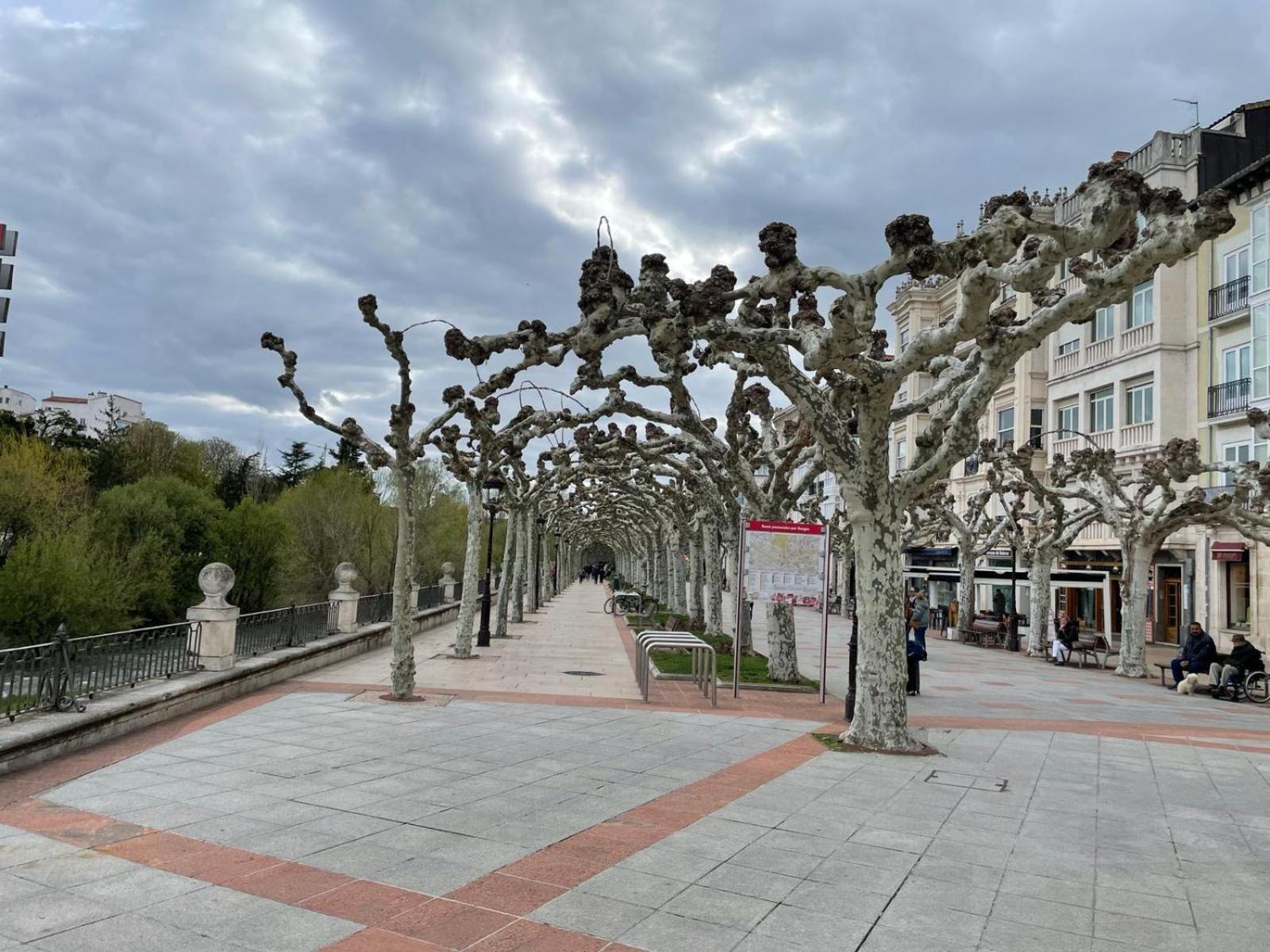 Апартаменти El Farolillo De La Catedral Vivienda De Uso Turistico Vut 9/251 Бургос Екстер'єр фото